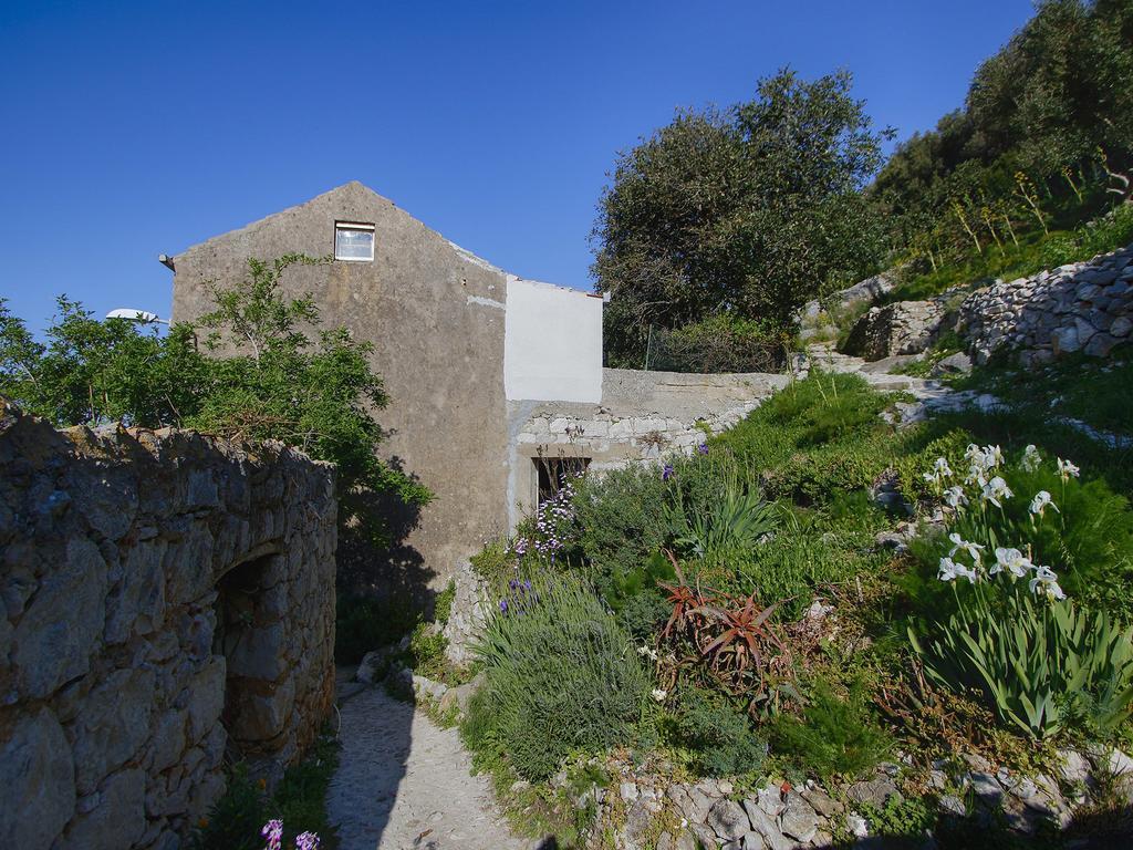 Apartment Cacini Dvori Lastovo Quarto foto